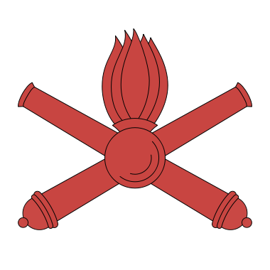 categoria tecnici sistema di combattimento