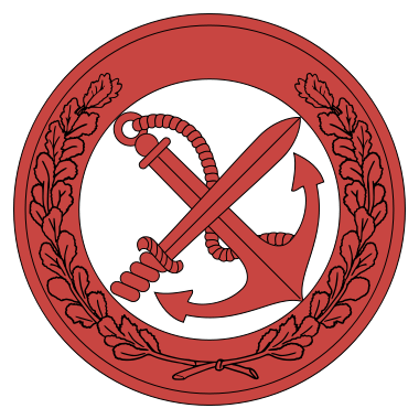 Incursori