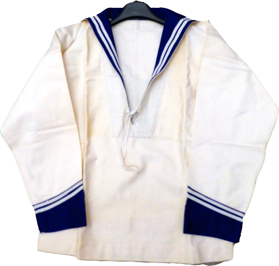 camisaccio