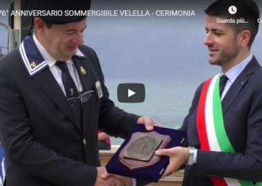 velella 2019